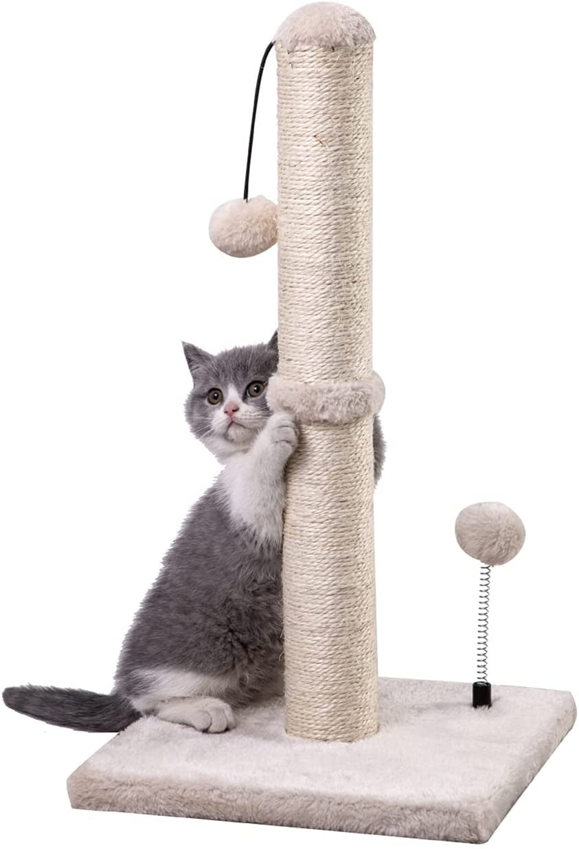 Cat Scratching Post Premium Basics Kitten Scratcher Sisal Scratch Posts with Hanging Ball 22In for Kittens or Smaller Cats (22 Inches for Kitten, Beige)