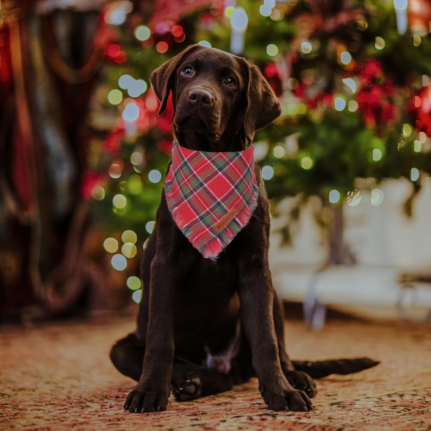 Christmas Dog Bandanas with Tassels Edges, Stylish Plaid Dog Christmas Scarf Bib, Multiple Sizes Offered, Plaid Bandanas for Medium Large Dogs (Christmas-1, Large)