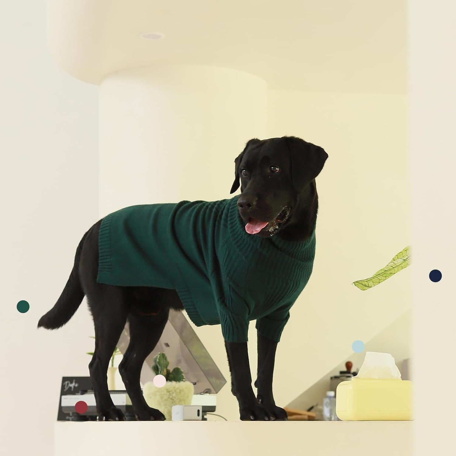 XL Dog Sweater,Fall Doggy Clothes for Extra Large Dogs Girl Boy,Warm Pullover Xmas Doggie Costume Clothes,Solid Color Pet Winter Apparel for Pitbull,Labrador Retriever(Green,Xlarge)