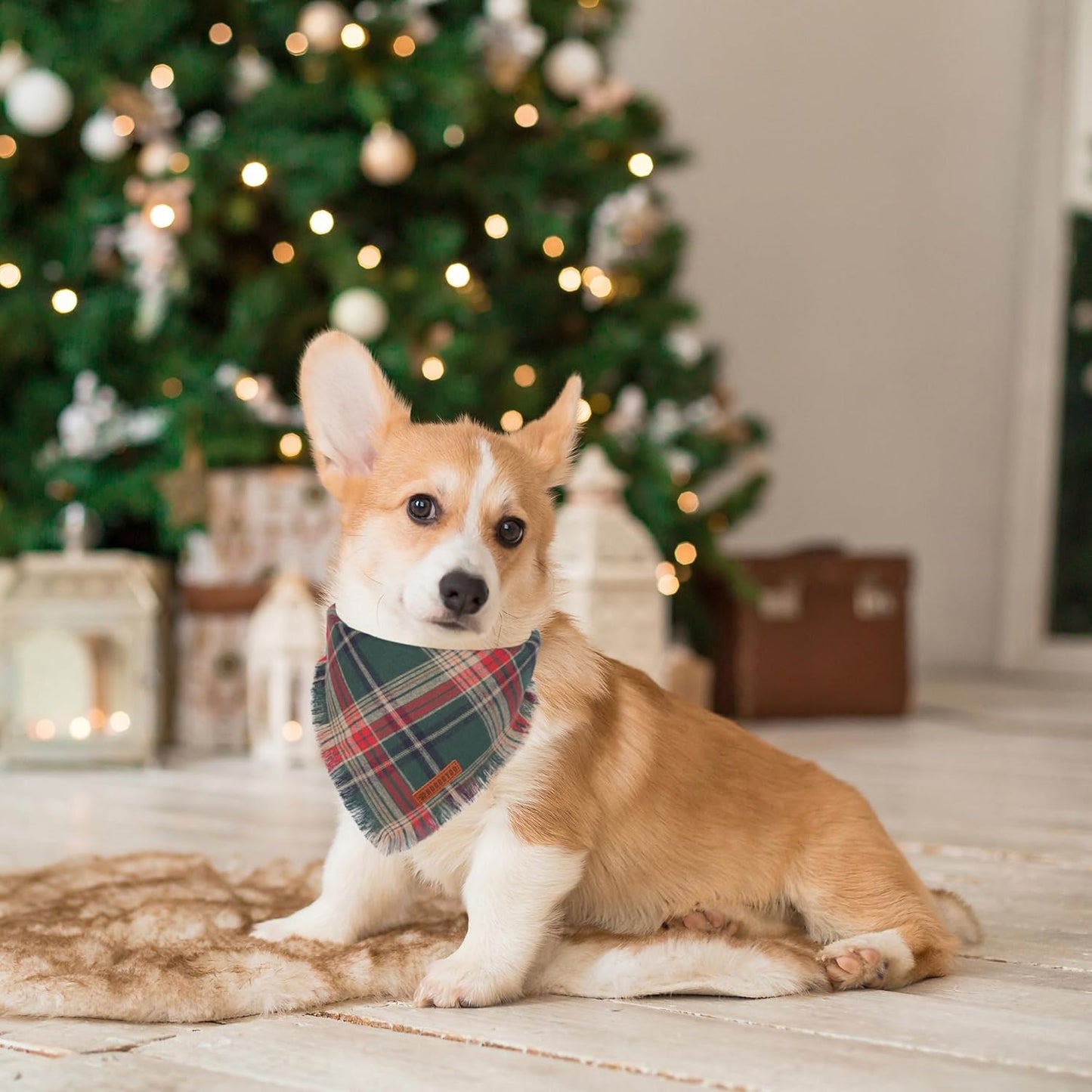 Christmas Dog Bandanas with Tassels Edges, Stylish Plaid Dog Christmas Scarf Bib, Multiple Sizes Offered, Plaid Bandanas for Medium Large Dogs (Christmas-1, Large)