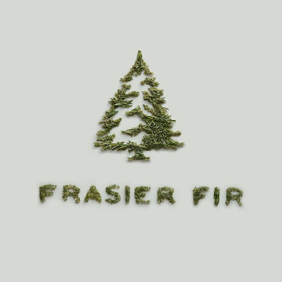 Frasier Fir Pine Needle Candle - Highly Scented Candles for a Luxury Home Fragrance - Holiday Candles with a Forest Fragrance - Single-Wick Candle (6.5 Oz)