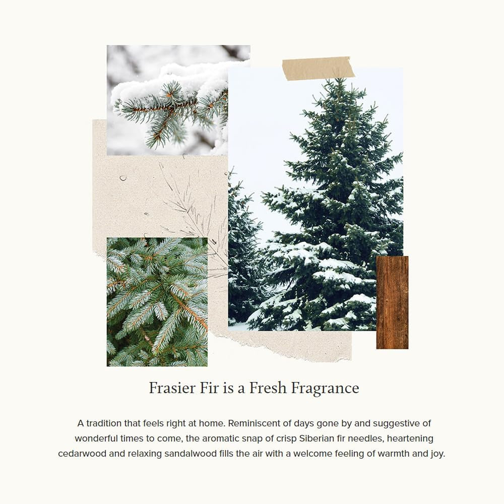 Frasier Fir Pine Needle Candle - Highly Scented Candles for a Luxury Home Fragrance - Holiday Candles with a Forest Fragrance - Single-Wick Candle (6.5 Oz)