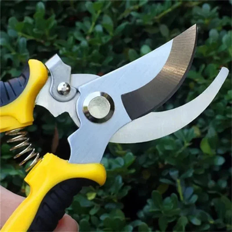 Horticultural Scissors Bird Beak Shape Branch Pruning Labor Saving Pruning Stainless Steel Picking Multifunctional Fruit Scissor