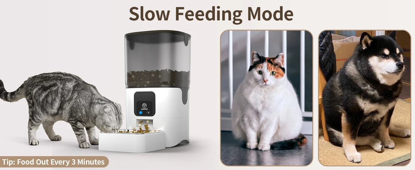 PAPIFEED Smart Automatic Cat Feeders WiFi Pet Feeder with APP Control for Remote Feeding Detachable for Easy Clean Cat Food