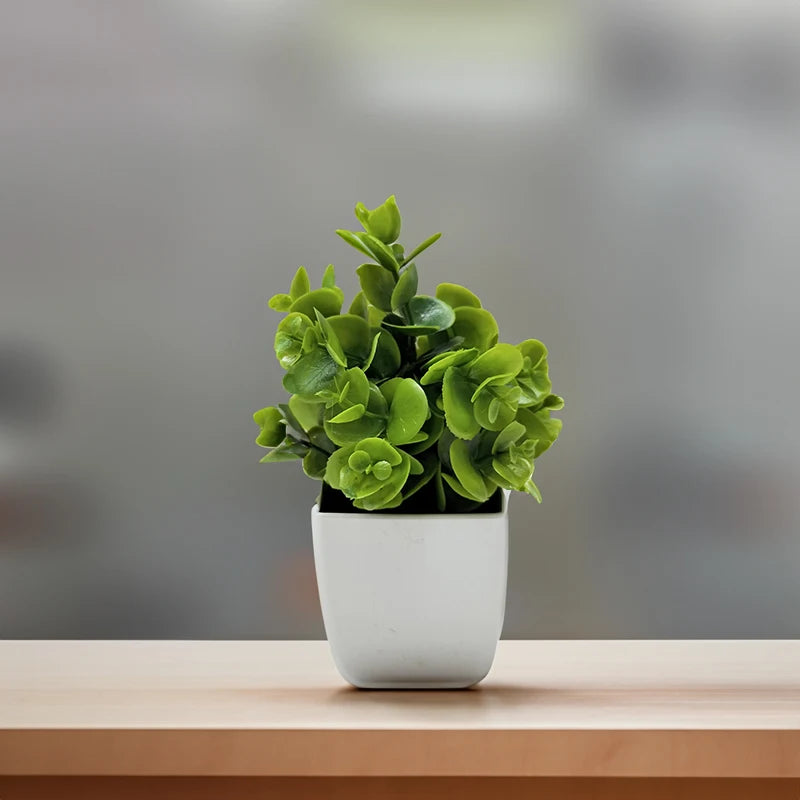 Artificial Plant Tree Window Sill Office Table Desktop Decoration Plastic Garden Fake Plant Potted Home Decor Potted Ornaments