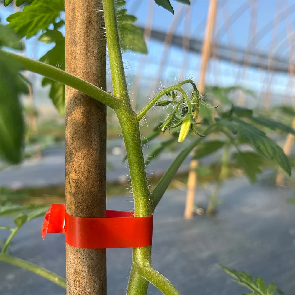 Allsome Plant Tying Machine, Gardening Tapetool with 10 Rolls of Tape and 1 Box of Staple for Vegetable, Grape, Tomato, Pepper