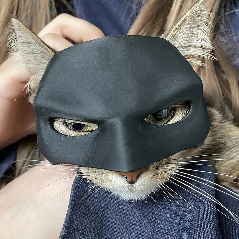 Bat Cat Avenger Mask Cosplay Creative Black Cat Bat Mask Decorative Bat Man Cat Mask Cat Face Mask for Halloween Cosplay