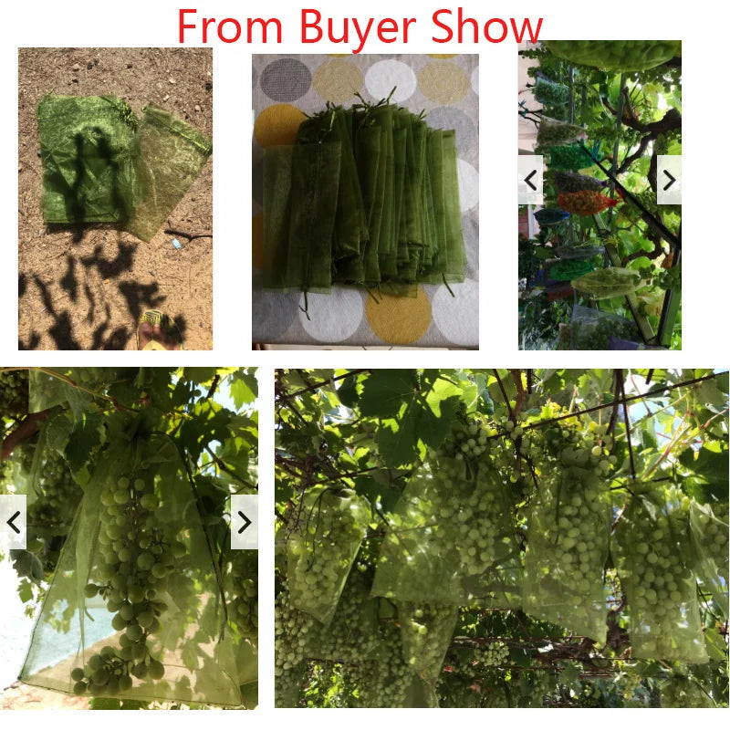 100pcs Fruit Protection Bags Pest Control Anti-Bird Garden Netting Bags Strawberry Grapes Mesh Bag Plante Vegetable Grow Bags