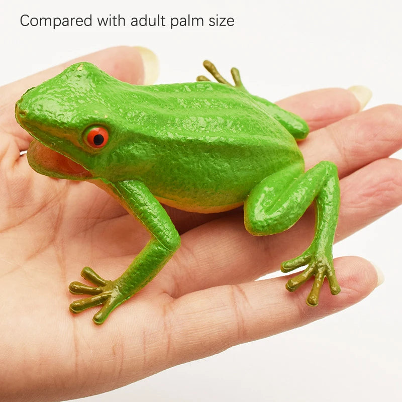 1PC Simulation Frog Model Kids Animal Toy Toad Tricky Scary Squeeze Sound Hobby Collection Toy Home Decor Figures Teaching