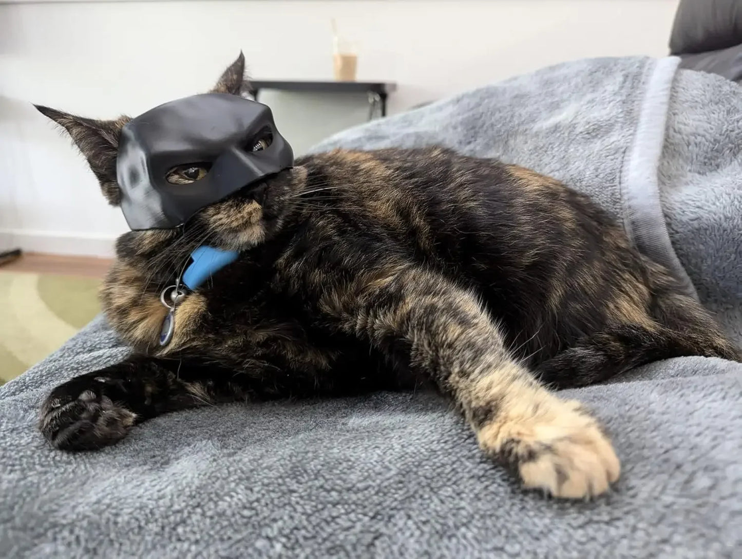 TONG Cat Bat Cool Man Mask Cat Avenger Mask Matte Cute Bat Mask Superhero Toys Cat Bat Pet Man Mask for Cat and Dogs