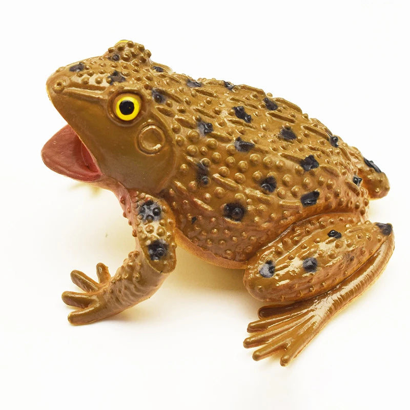 1PC Simulation Frog Model Kids Animal Toy Toad Tricky Scary Squeeze Sound Hobby Collection Toy Home Decor Figures Teaching