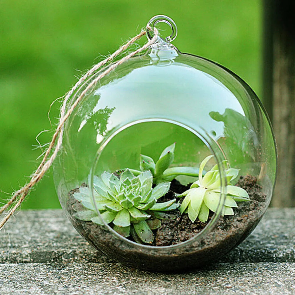 Hanging Glass Ball Garden Home Decoration Flat Bottom Flower Indoor Ornament Party Plant Pots Tealights Terrarium