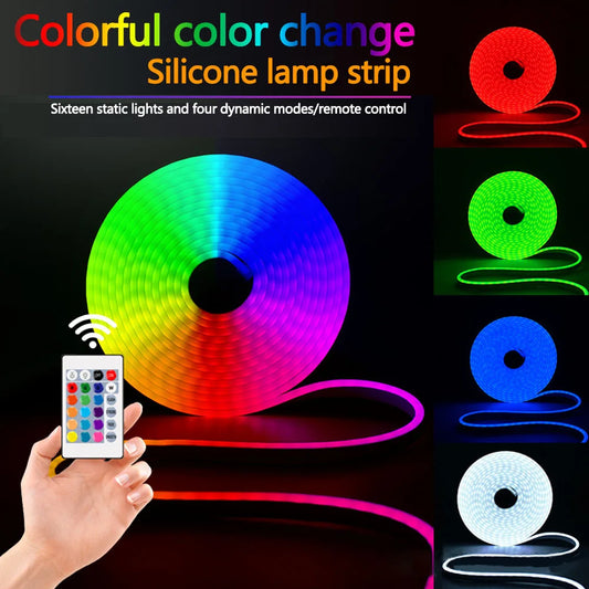 5V USB LED Neon Lights RGB Flexible 1m 3m 5m Waterproof Neon Sign Linear 24-Key Remote Control For Indoor Outdoor Bedroom Decor