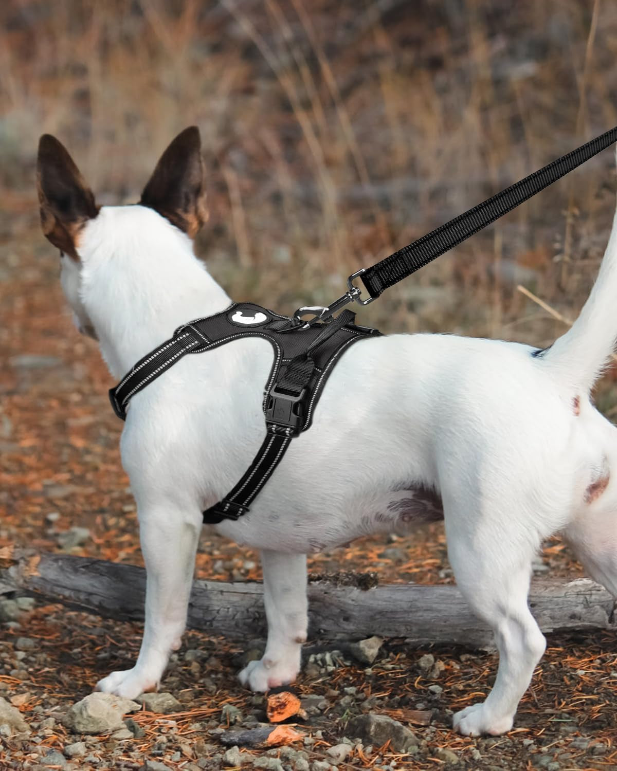 Double-Sided Reflective Dog Leash, 6 FT/5 FT/4 FT, Padded Handle Nylon Dogs Leashes for Medium & Large Dogs Walking, Black, 6FT