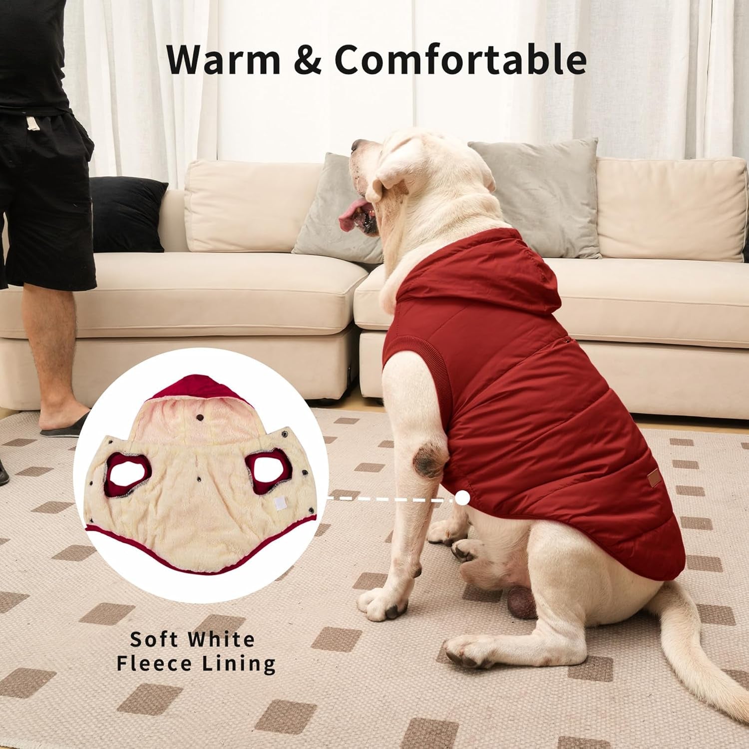 Fleece Lining Extra Warm Dog Hoodie in Winter for Small Dogs Jacket Puppy Coats with Hooded,Red M