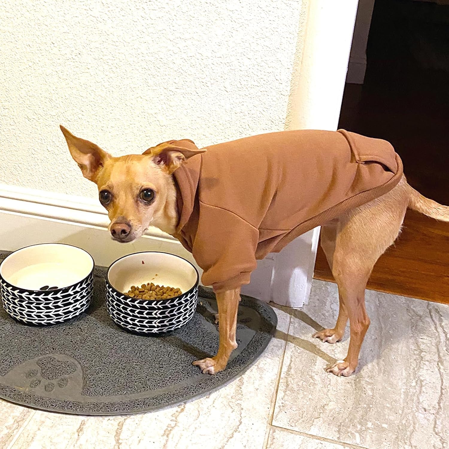 Winter Dog Hoodie Sweatshirts with Pockets Warm Dog Clothes for Small Dogs Chihuahua Coat Clothing Puppy Cat Custume (Small, Coffee)