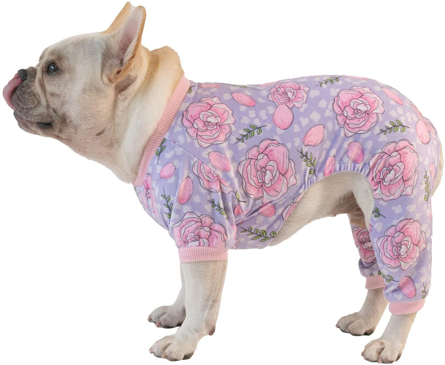 Cutebone Soft Dog Pajamas Gradient Footprint Doggy Shirts for Small Puppies P09S