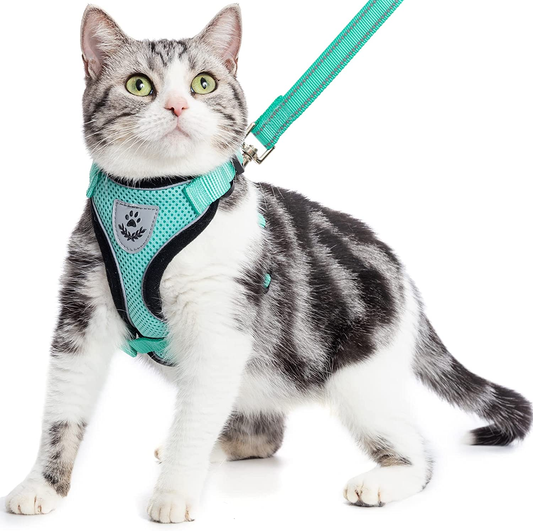 PUPTECK Cat Harness and Leash Set- Adjustable Vest Escape Proof Harness for Kitten Small Medium Cats, Retractable Breathable Soft Mesh for outside with Reflective Strips
