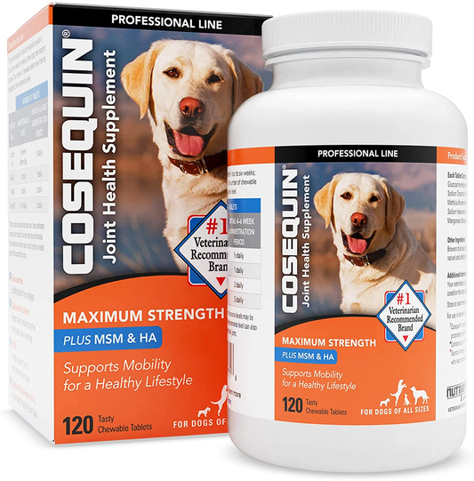Cosequin DS Maximum Strength plus MSM & Omega-3'S Chewable Tablets, Count of 120, 120 CT