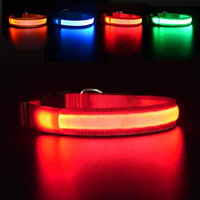 MASBRILL Light up Dog Collar, LED Glow Collar with USB Rechargeable Lighted Bright Purple Dog Flashing Collar Waterproof, 4 Colors with 3 Sizes for Small Medium Large Dogs