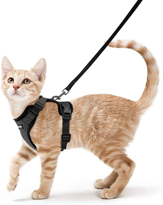 Rabbitgoo Cat Harness and Leash for Walking, Escape Proof Soft Adjustable Vest Harnesses for Cats, Easy Control Breathable Jacket, Black, XS