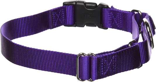 Adjustable Martingale Collar with Buckle - Tightens When Dogs Pull, Prevents Slipping Out - Helps with Strong Pullers, Increased Control - Alternative to Choke Collar - Multiple Styles