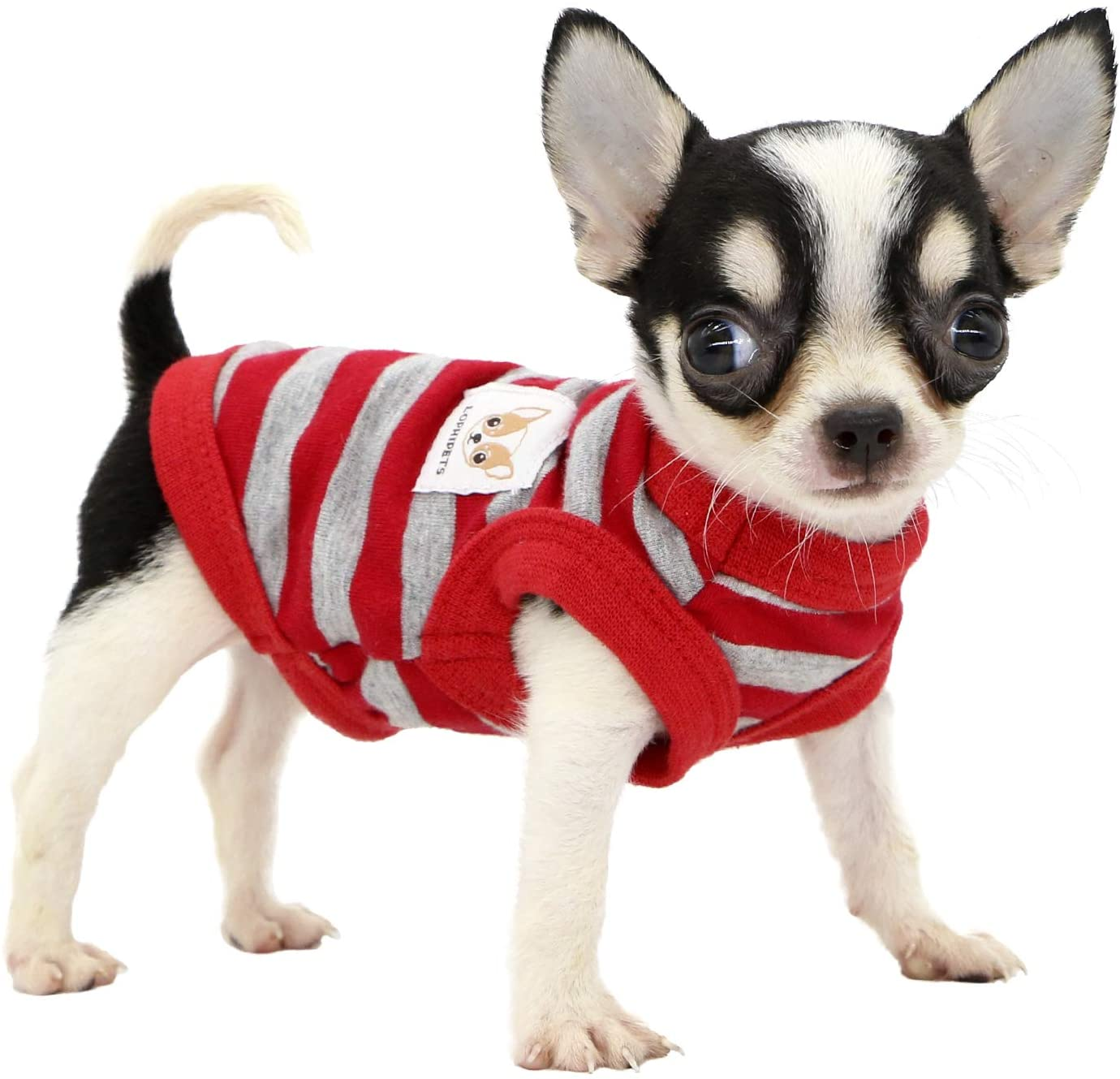 LOPHIPETS 100% Cotton Striped Dog Shirts for Small Dogs Chihuahua Puppy Clothes Tank Vest-Yellow and Gray Strips/Xs
