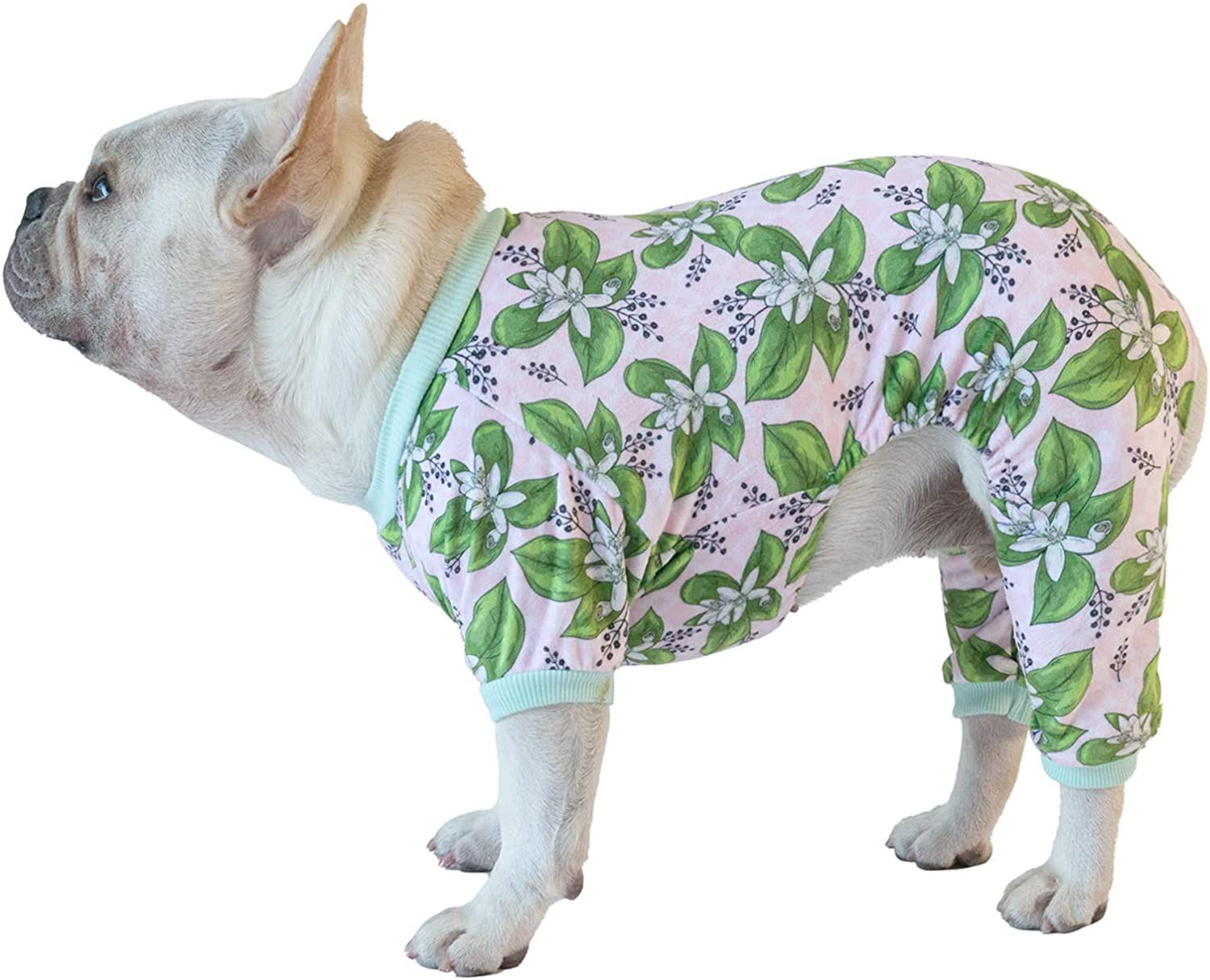 Cutebone Soft Dog Pajamas Gradient Footprint Doggy Shirts for Small Puppies P09S