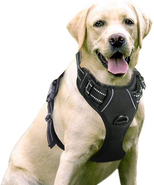 Rabbitgoo Dog Harness, No-Pull Pet Harness with 2 Leash Clips, Adjustable Soft Padded Dog Vest, Reflective No-Choke Pet Oxford Vest with Easy Control Handle for Large Dogs, Black, L